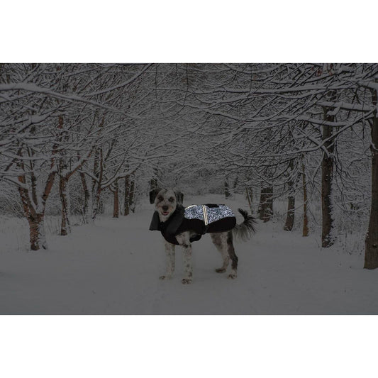 V6H13943F8C4B4DBDB5BA20617D87C027A9R5332517P2