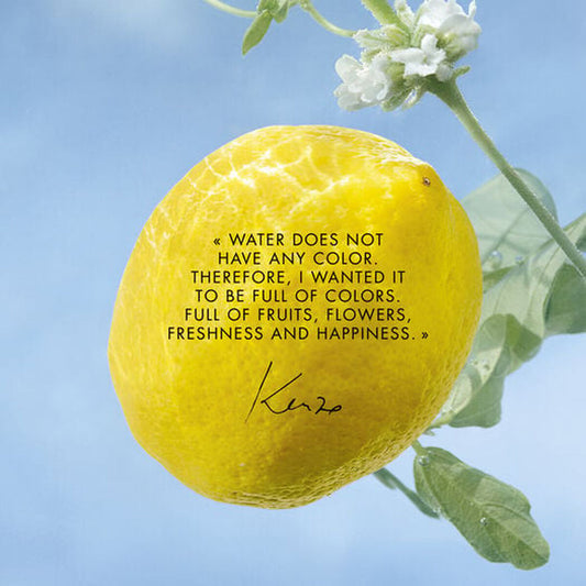 V5H4B1EA70757D8B647437FD93273D698A3R6241655P2