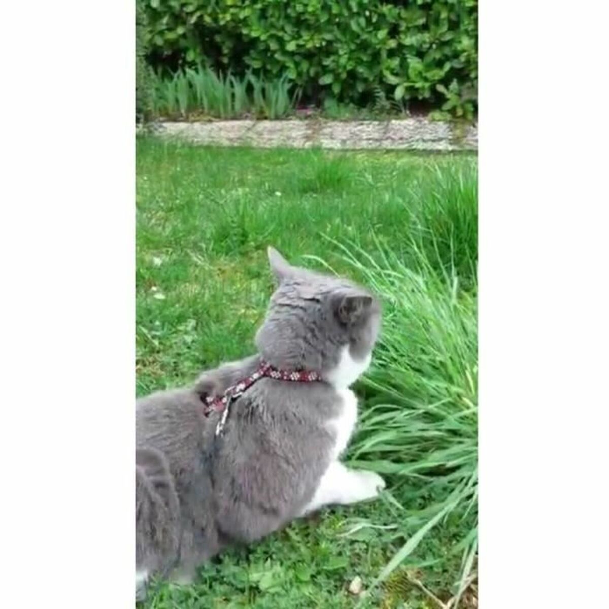 V5HEA88F7DB7AA831B6AC42A186FCB6484FR5779231P4