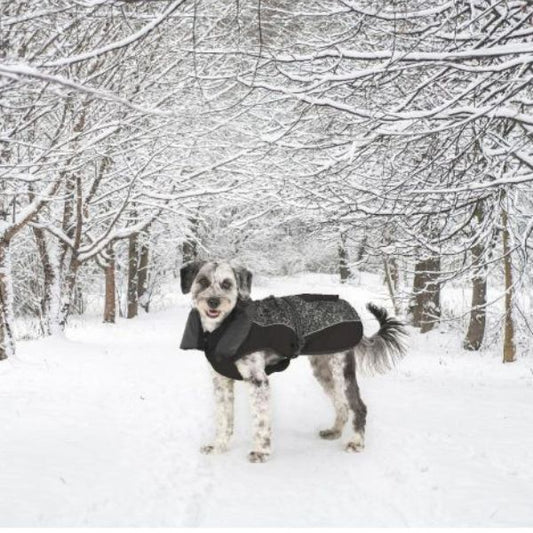 Abrigo Perro Aspen Negro Meteor 45cm | Impermeable Cortavientos