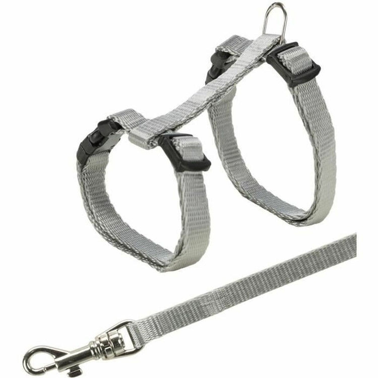 Collares, arneses y correas