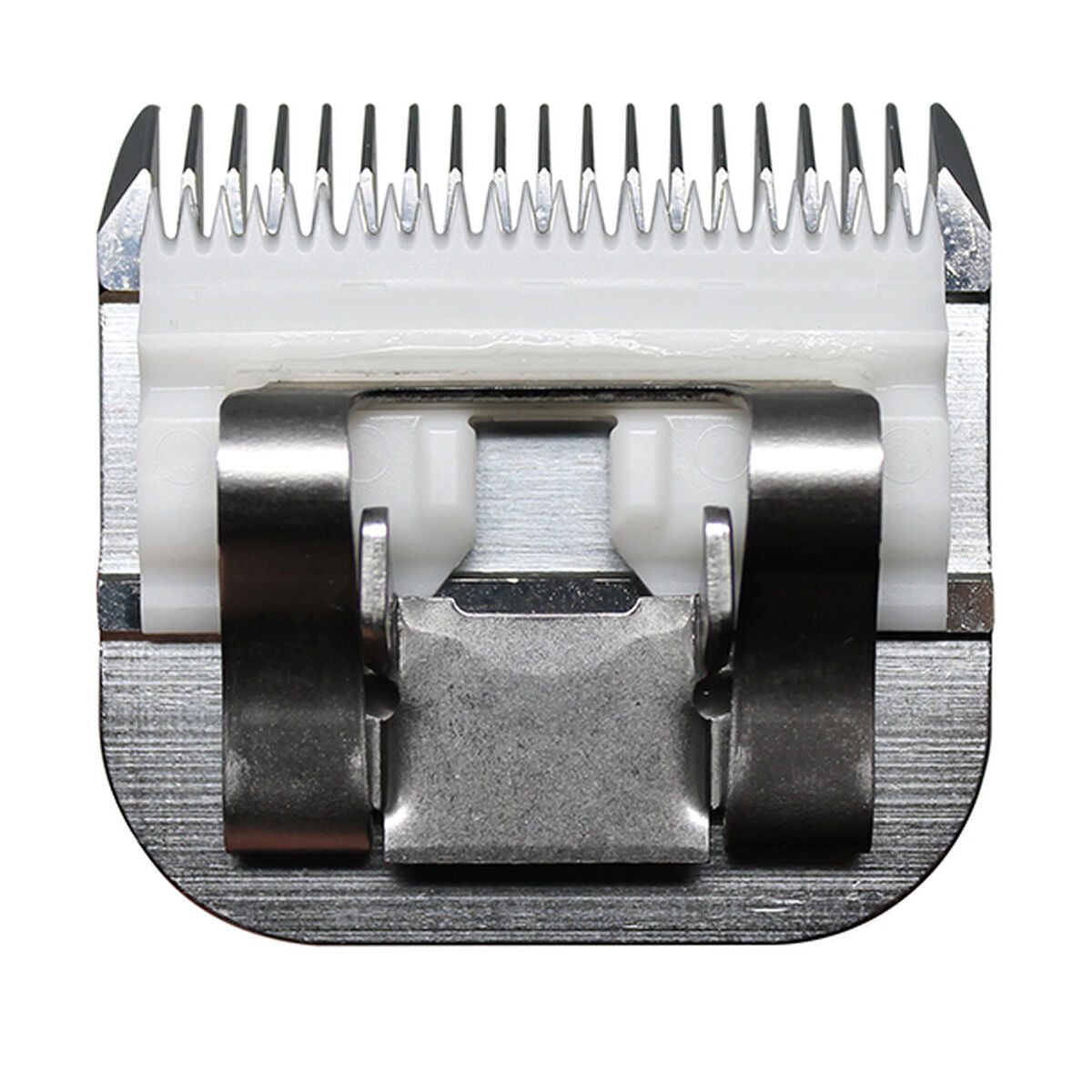 V5H4D7B9585DA488842E331481F72E3F631R5554754P4