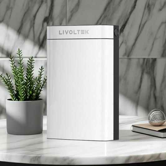 Batería Residencial BLF51-5  Litio 51,2V 100Ah Bajo Voltaje - TU ULTIMO CLIC