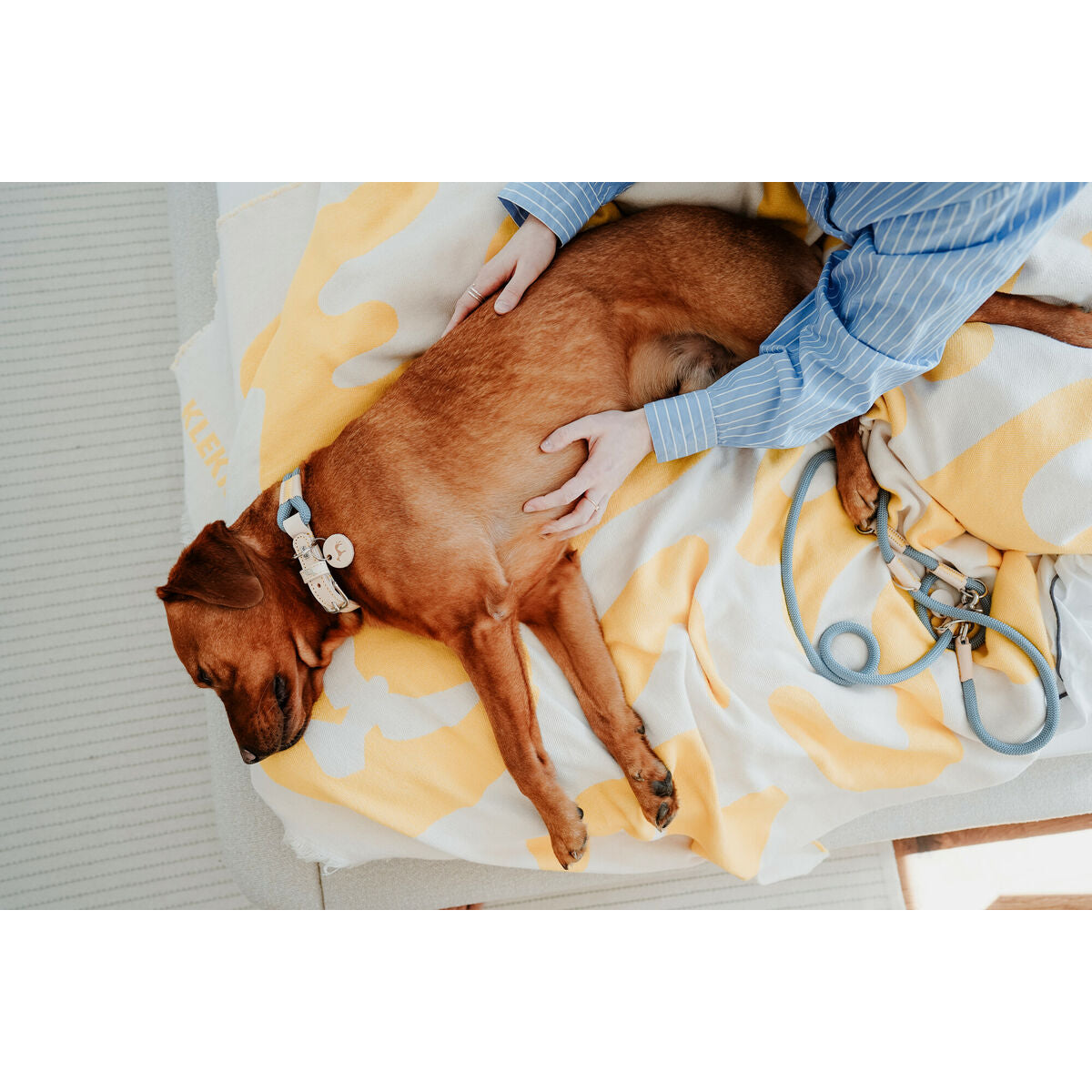 V5HA36CE0A4C56D1552476776BA20D4B77CR5575454P6