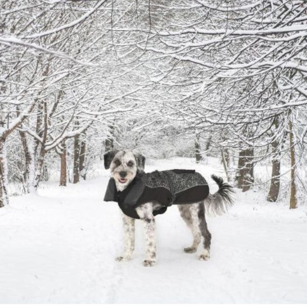 Abrigo Perro Aspen Negro Meteor 45cm | Impermeable Cortavientos