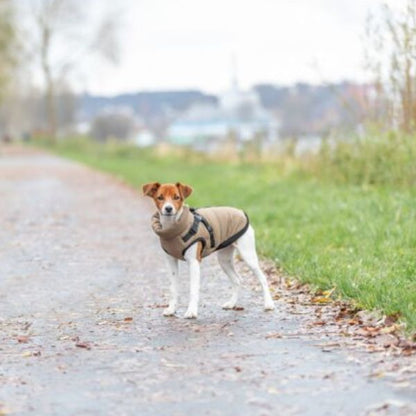 Abrigo Perro Trixie Arena S - TU-ULTIMO-CLIC