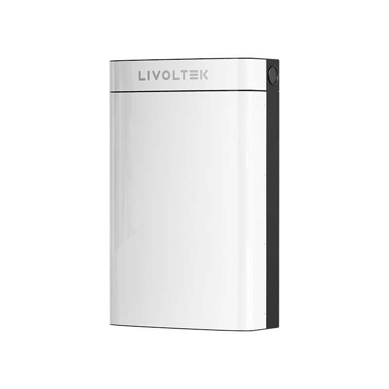 Batería Residencial BLF51-5  Litio 51,2V 100Ah Bajo Voltaje - TU ULTIMO CLIC