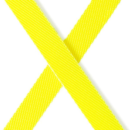 Correa Flexi Neon Giant L 8m - TU-ULTIMO-CLIC