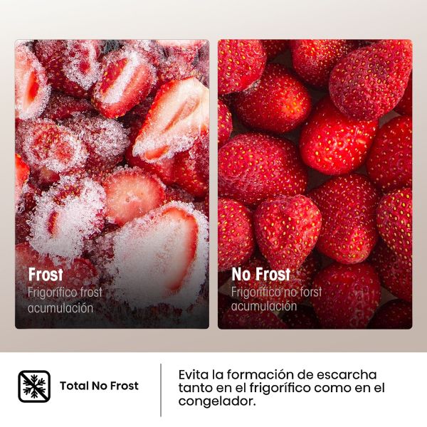 Frigorífico Combi Hisense RB390N4AWE 304L - TU-ULTIMO-CLIC