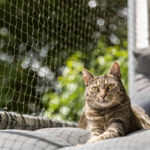 Red de Seguridad Trixie Reforzada 4x3m - Protección Anti-Mordiscos para Balcones Trixie