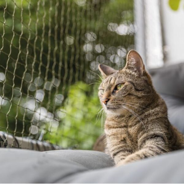 Red de Seguridad Trixie Reforzada 4x3m - Protección Anti-Mordiscos para Balcones Trixie