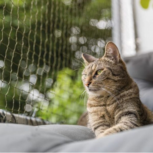 Red de Seguridad Trixie Reforzada 4x3m - Protección Anti-Mordiscos para Balcones Trixie