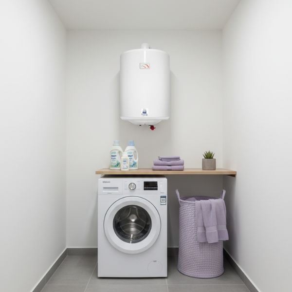 Termo Eléctrico Thermor Delta | Alta Eficiencia C | Ahorro Energético y CAEs | 50L, 80L, 100L Thermor